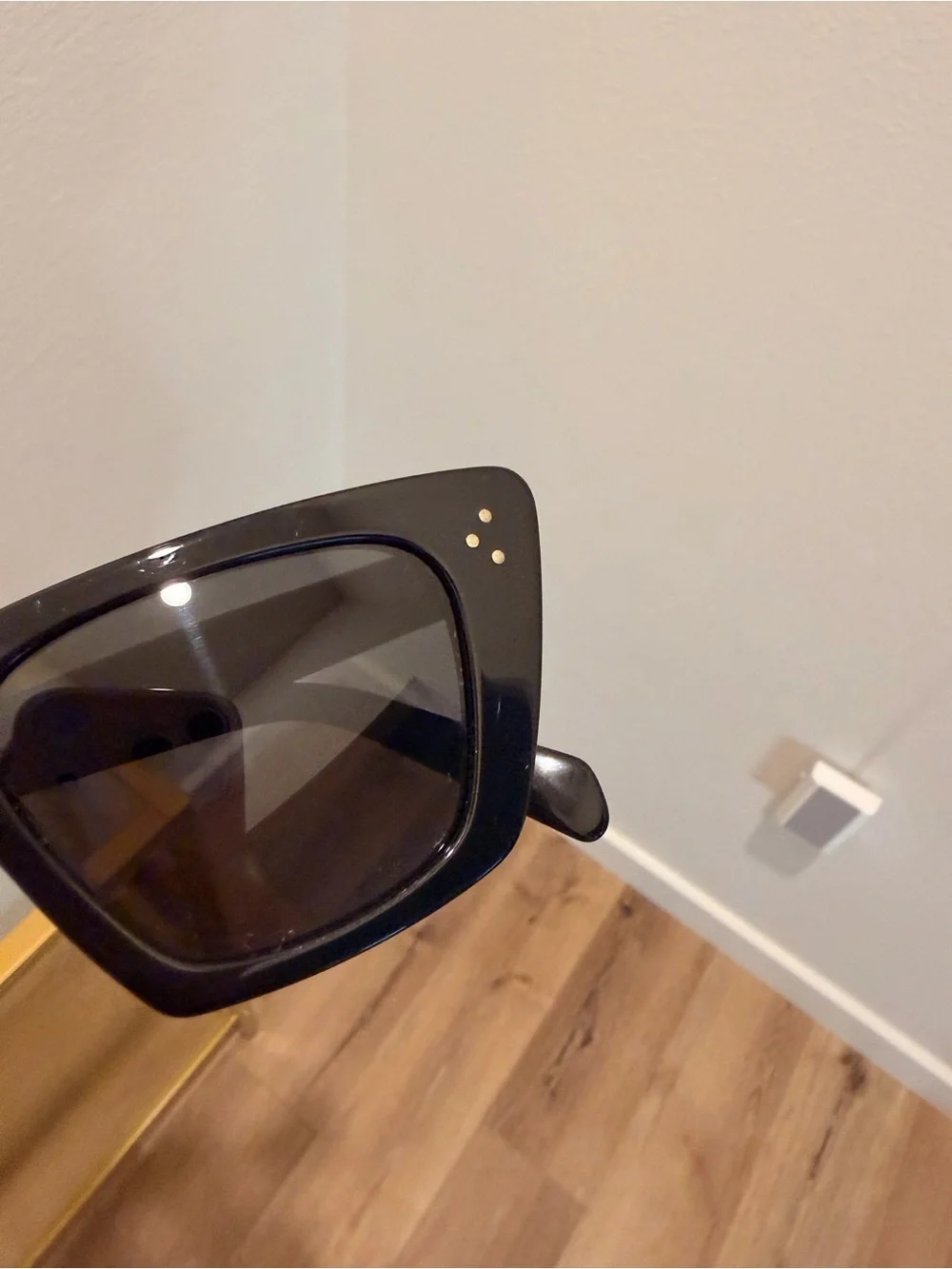 Celine Acetate Butterfly Sunglasses